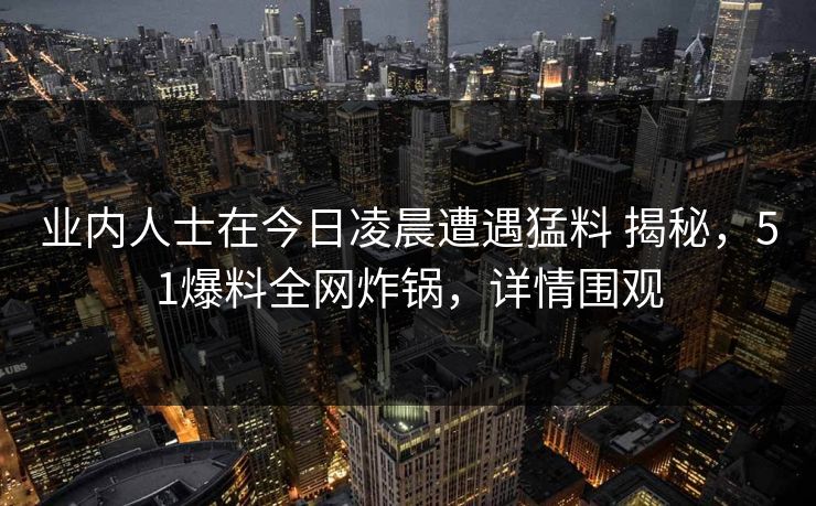 业内人士在今日凌晨遭遇猛料 揭秘，51爆料全网炸锅，详情围观