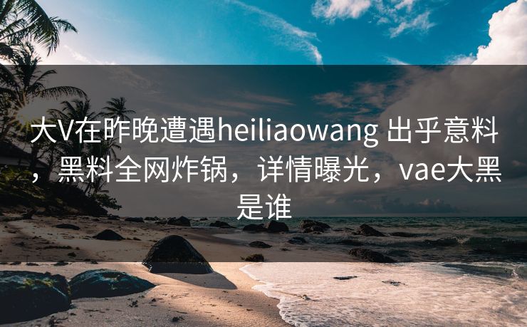 大V在昨晚遭遇heiliaowang 出乎意料，黑料全网炸锅，详情曝光，vae大黑是谁