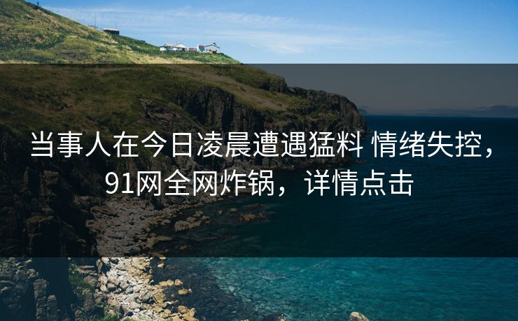 当事人在今日凌晨遭遇猛料 情绪失控，91网全网炸锅，详情点击