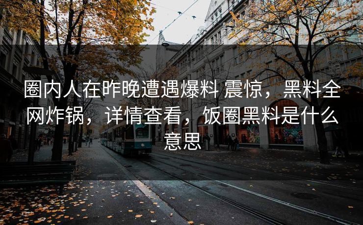 圈内人在昨晚遭遇爆料 震惊，黑料全网炸锅，详情查看，饭圈黑料是什么意思